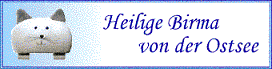 Heilige Birma von der Ostsee'