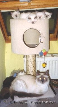 Mama Bonali mit Bine, Blanca, Bianca und Baxter
