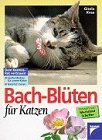 Bach- Bl&uuml;ten f&uuml;r Katzen. Sanfte Medizin f&uuml;r unsere Katze. Nat&uuml;rlich heilen