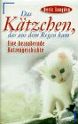 Das K&auml;tzchen, das aus dem Regen kam. Eine bezaubernde Katzengeschichte